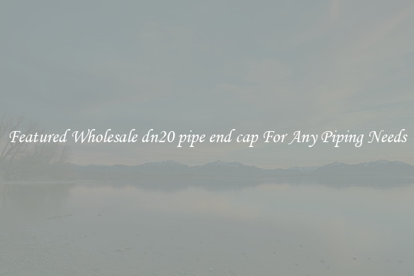 Featured Wholesale dn20 pipe end cap For Any Piping Needs