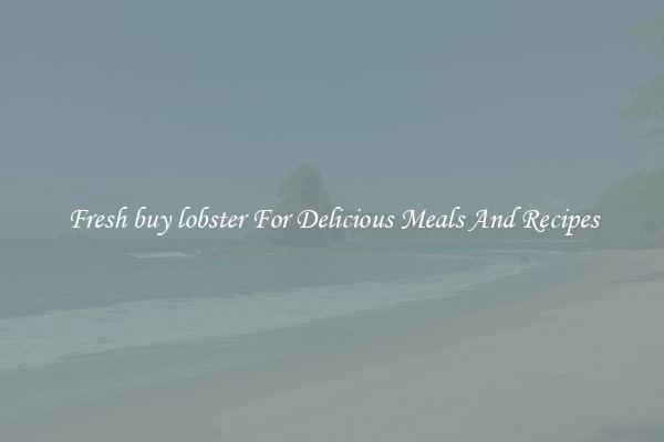 Fresh buy lobster For Delicious Meals And Recipes