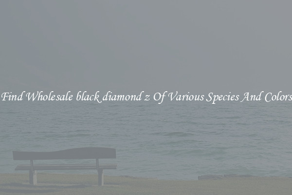 Find Wholesale black diamond z Of Various Species And Colors