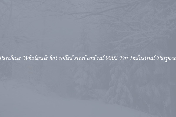 Purchase Wholesale hot rolled steel coil ral 9002 For Industrial Purposes