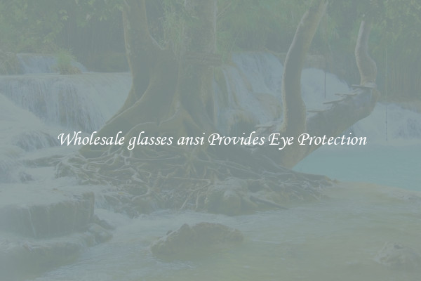 Wholesale glasses ansi Provides Eye Protection