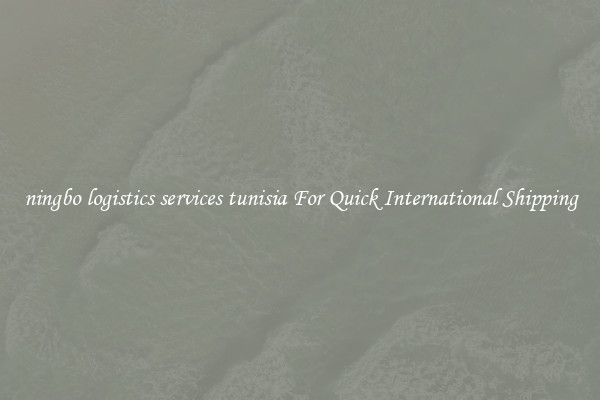 ningbo logistics services tunisia For Quick International Shipping