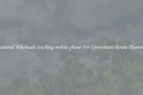 Featured Wholesale tracking mobile phone For Convenient Route Planning 