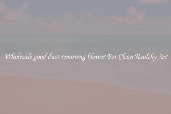 Wholesale good dust removing blower For Clean Healthy Air