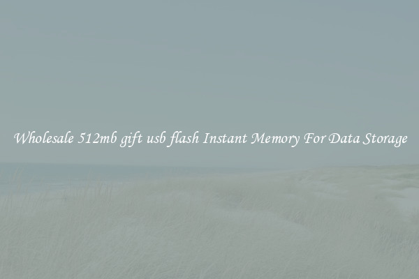 Wholesale 512mb gift usb flash Instant Memory For Data Storage