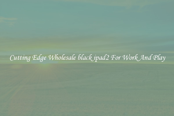 Cutting Edge Wholesale black ipad2 For Work And Play