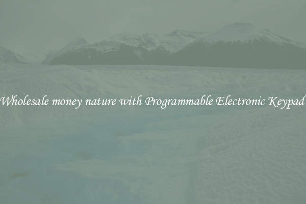 Wholesale money nature with Programmable Electronic Keypad 