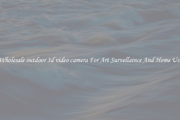 Wholesale outdoor 3d video camera For Art Survellaince And Home Use