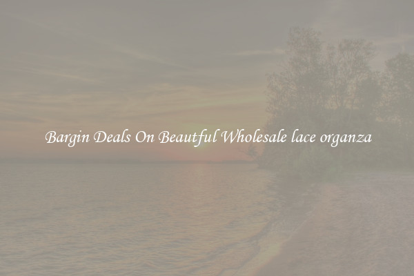 Bargin Deals On Beautful Wholesale lace organza