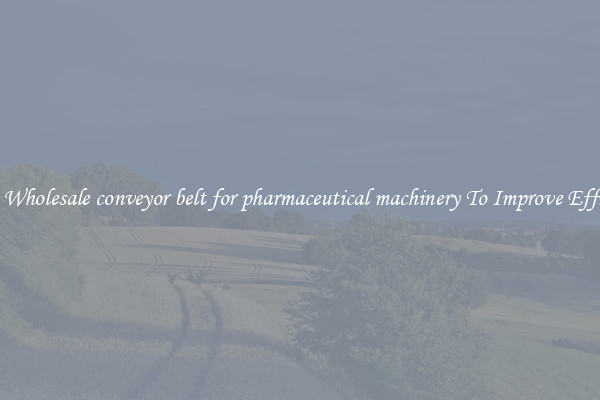 Get A Wholesale conveyor belt for pharmaceutical machinery To Improve Efficiency