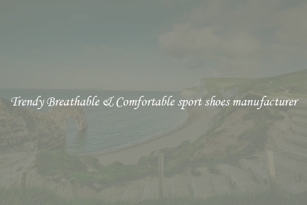 Trendy Breathable & Comfortable sport shoes manufacturer