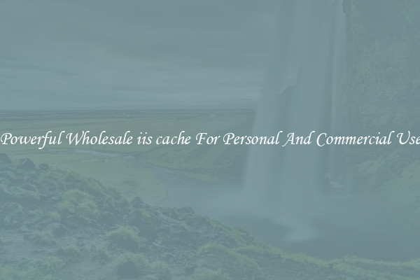 Powerful Wholesale iis cache For Personal And Commercial Use