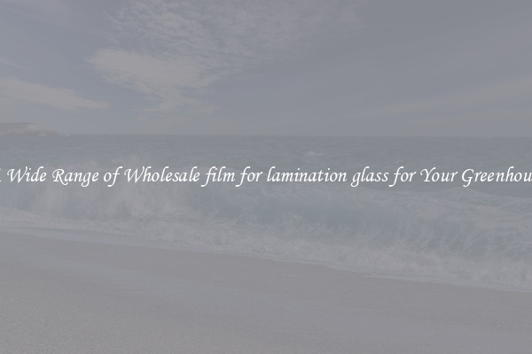 A Wide Range of Wholesale film for lamination glass for Your Greenhouse