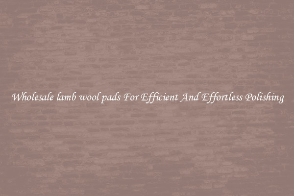 Wholesale lamb wool pads For Efficient And Effortless Polishing