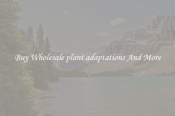 Buy Wholesale plant adaptations And More