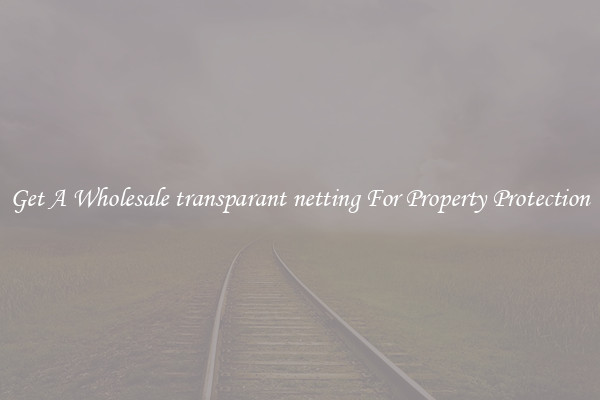 Get A Wholesale transparant netting For Property Protection