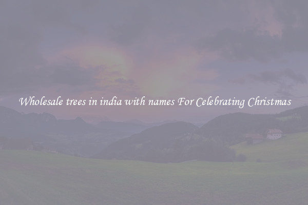 Wholesale trees in india with names For Celebrating Christmas