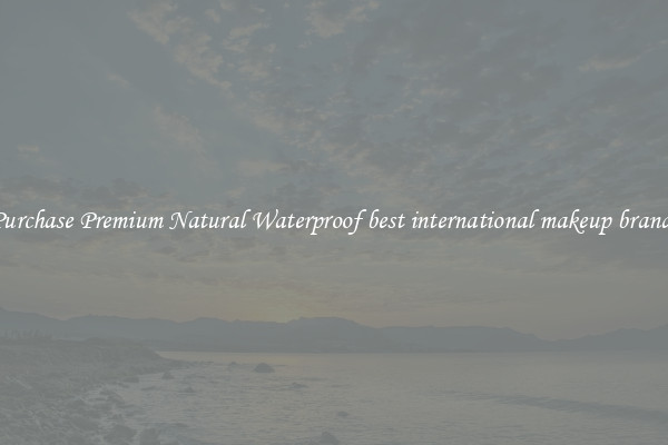 Purchase Premium Natural Waterproof best international makeup brands