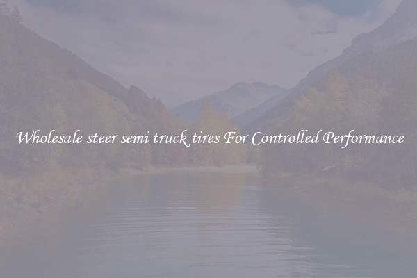 Wholesale steer semi truck tires For Controlled Performance