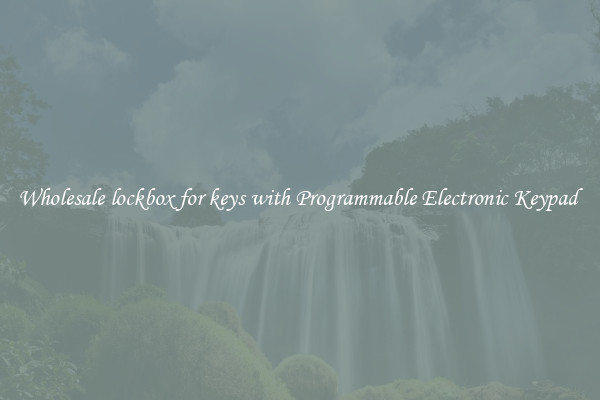 Wholesale lockbox for keys with Programmable Electronic Keypad 