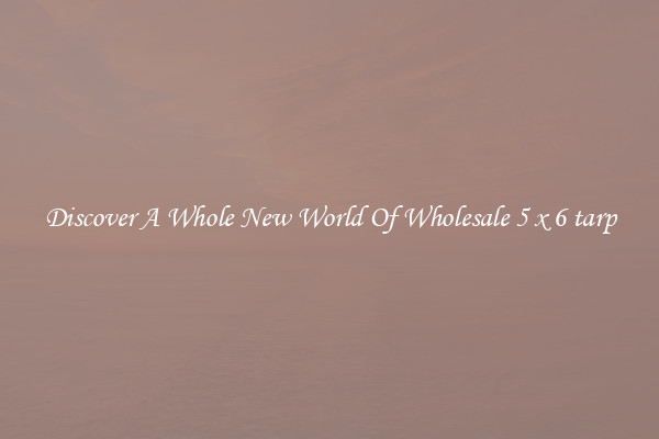Discover A Whole New World Of Wholesale 5 x 6 tarp