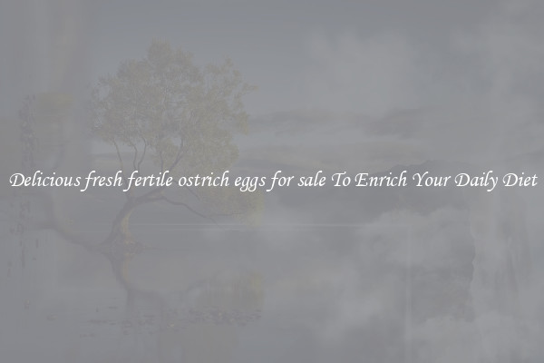 Delicious fresh fertile ostrich eggs for sale To Enrich Your Daily Diet